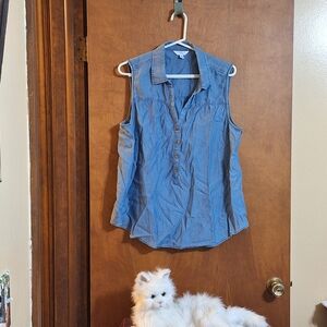 Time and Tru Denim Sleeveless Blouse